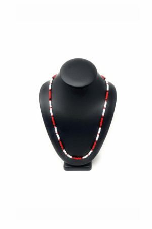 COLLAR - JIM MORRISON