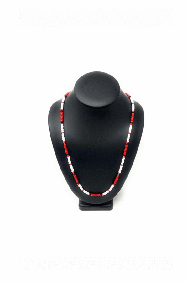 COLLAR - JIM MORRISON